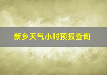 新乡天气小时预报查询