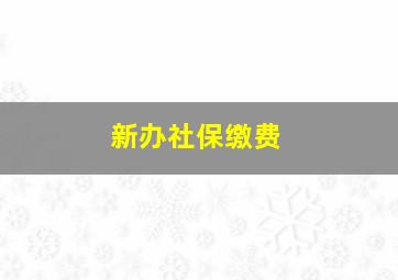 新办社保缴费