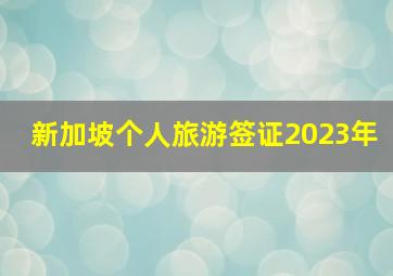 新加坡个人旅游签证2023年