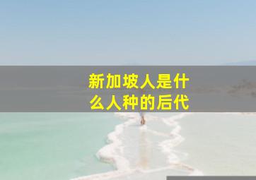 新加坡人是什么人种的后代