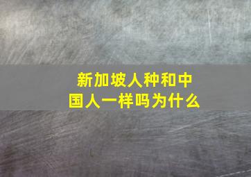 新加坡人种和中国人一样吗为什么