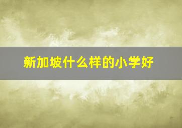 新加坡什么样的小学好