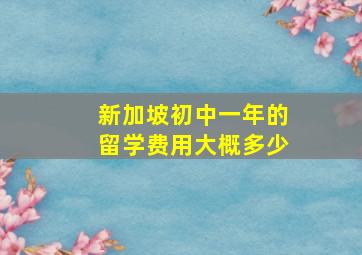 新加坡初中一年的留学费用大概多少