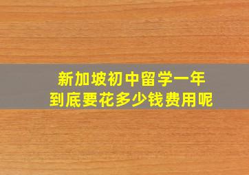 新加坡初中留学一年到底要花多少钱费用呢