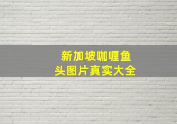 新加坡咖喱鱼头图片真实大全