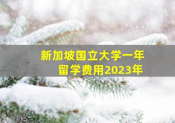 新加坡国立大学一年留学费用2023年