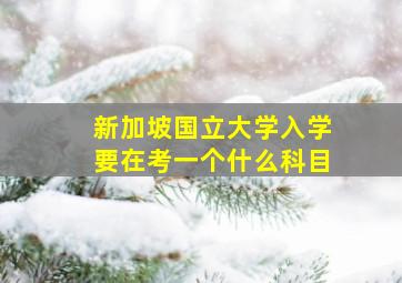 新加坡国立大学入学要在考一个什么科目