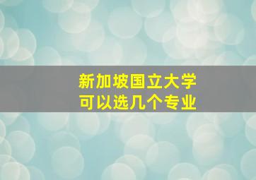 新加坡国立大学可以选几个专业