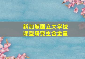 新加坡国立大学授课型研究生含金量