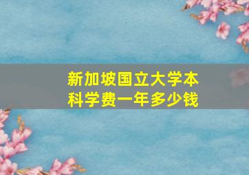 新加坡国立大学本科学费一年多少钱