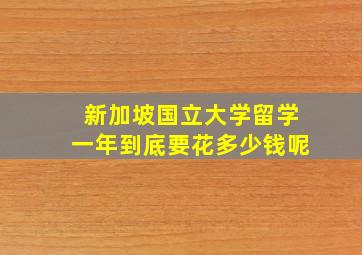 新加坡国立大学留学一年到底要花多少钱呢