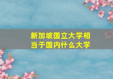 新加坡国立大学相当于国内什么大学