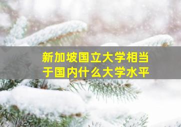 新加坡国立大学相当于国内什么大学水平