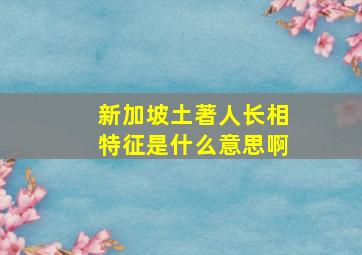 新加坡土著人长相特征是什么意思啊