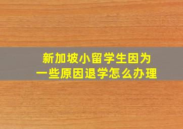 新加坡小留学生因为一些原因退学怎么办理