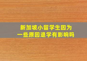 新加坡小留学生因为一些原因退学有影响吗