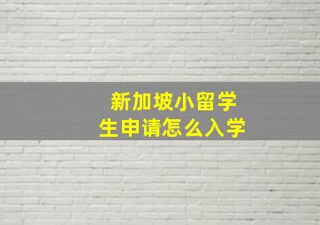 新加坡小留学生申请怎么入学