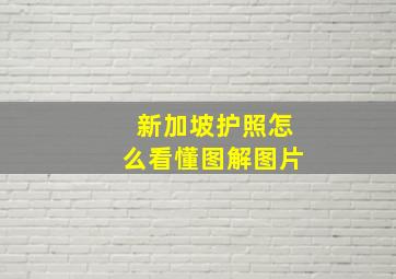 新加坡护照怎么看懂图解图片