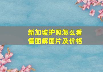 新加坡护照怎么看懂图解图片及价格