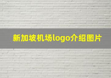 新加坡机场logo介绍图片