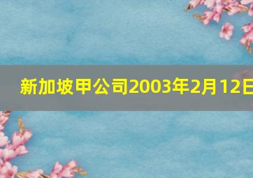 新加坡甲公司2003年2月12日