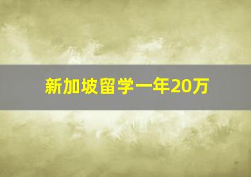 新加坡留学一年20万