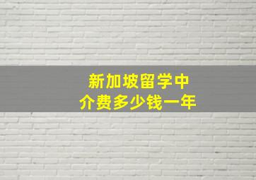 新加坡留学中介费多少钱一年