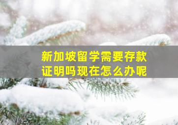 新加坡留学需要存款证明吗现在怎么办呢