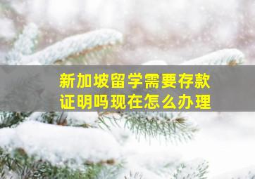 新加坡留学需要存款证明吗现在怎么办理