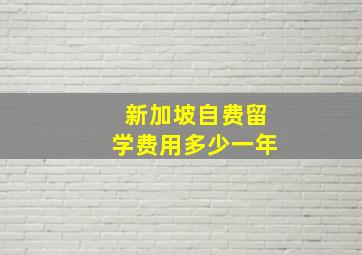 新加坡自费留学费用多少一年