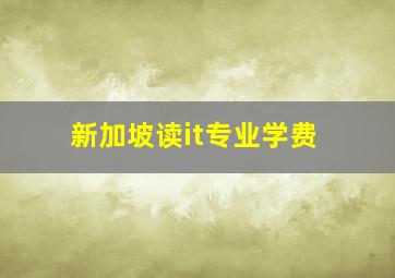 新加坡读it专业学费