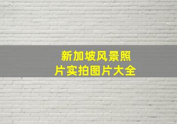 新加坡风景照片实拍图片大全