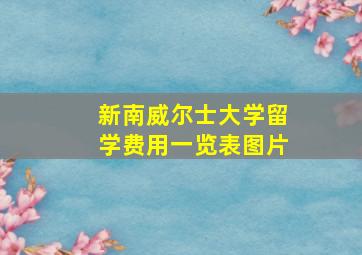 新南威尔士大学留学费用一览表图片