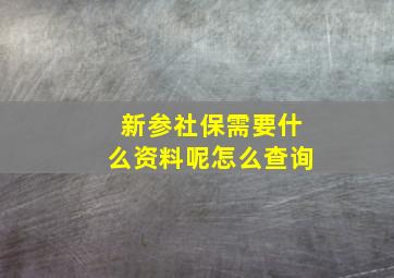 新参社保需要什么资料呢怎么查询