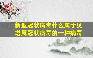 新型冠状病毒什么属于贝塔属冠状病毒的一种病毒