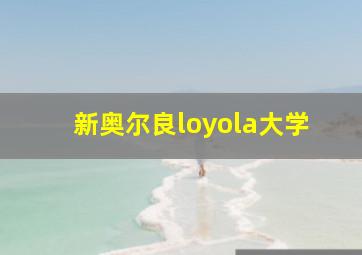 新奥尔良loyola大学