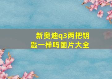 新奥迪q3两把钥匙一样吗图片大全