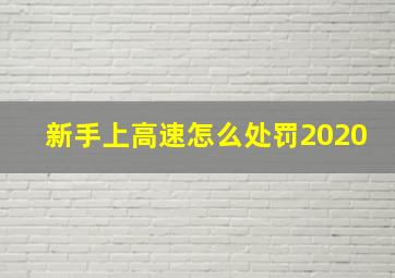 新手上高速怎么处罚2020