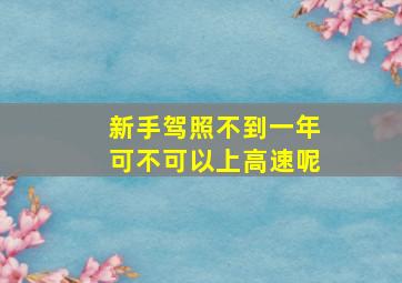 新手驾照不到一年可不可以上高速呢