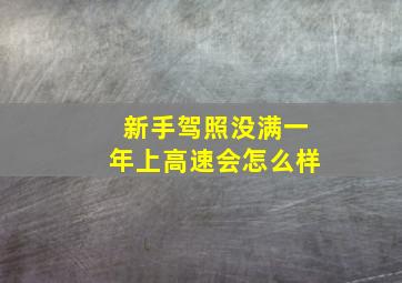 新手驾照没满一年上高速会怎么样