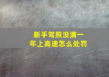 新手驾照没满一年上高速怎么处罚