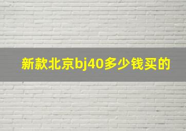 新款北京bj40多少钱买的