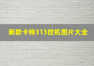 新款卡特313挖机图片大全