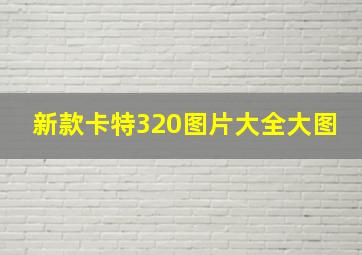 新款卡特320图片大全大图