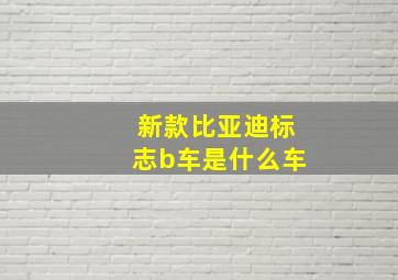 新款比亚迪标志b车是什么车