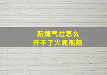 新煤气灶怎么开不了火呢视频