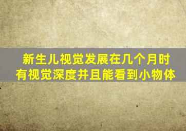 新生儿视觉发展在几个月时有视觉深度并且能看到小物体