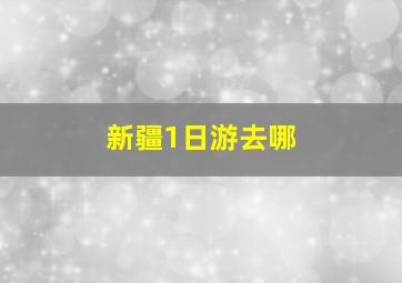 新疆1日游去哪