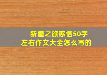 新疆之旅感悟50字左右作文大全怎么写的