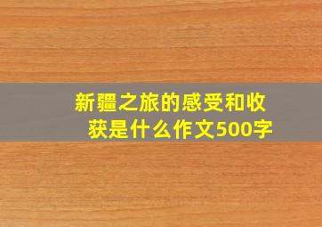 新疆之旅的感受和收获是什么作文500字